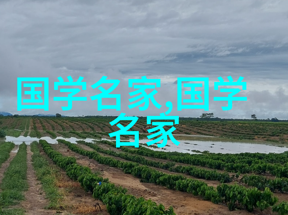 胡国伟